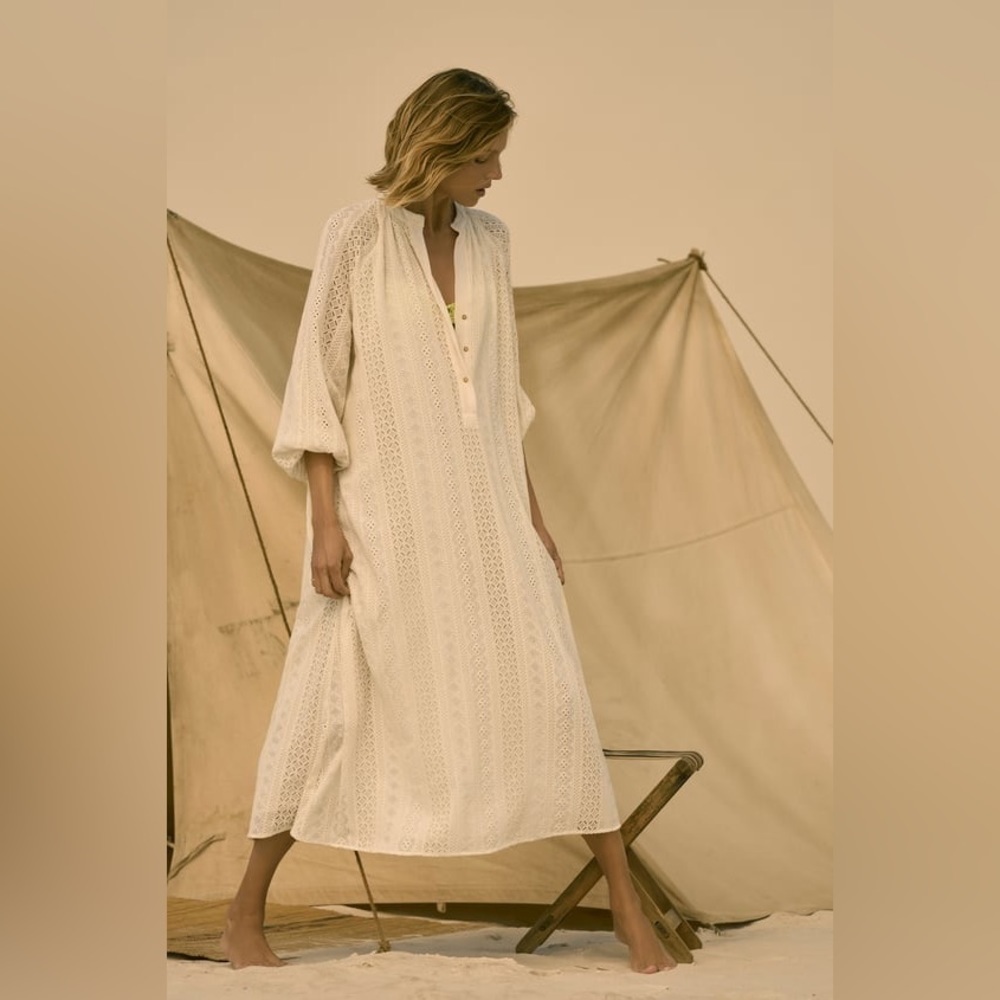 Zara Openwork Embroidery Dress - Picture 5 of 11